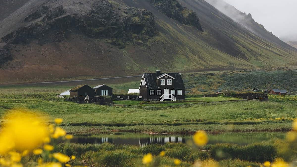 Domaine Daily Header Cabin Home in Field with Yellow Flowers