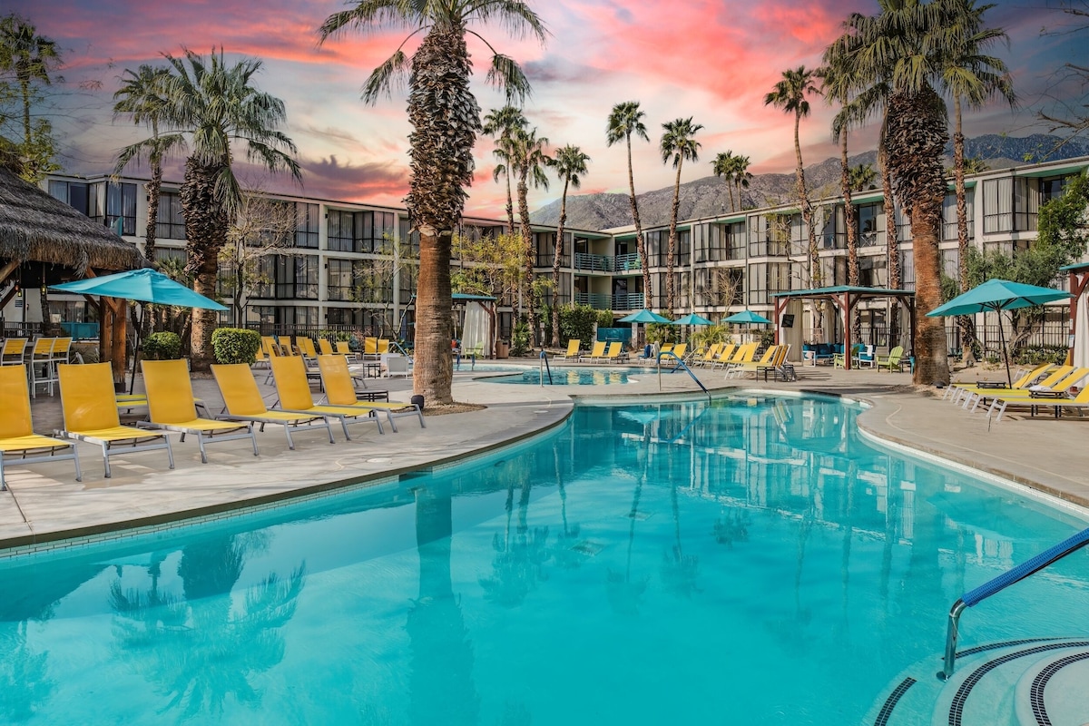 14 Best Palm Springs AllInclusive Resorts Revealed Finding Your Desert Oasis Domaine Daily